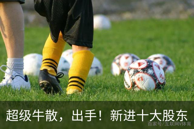 超级牛散，出手！新进十大股东
